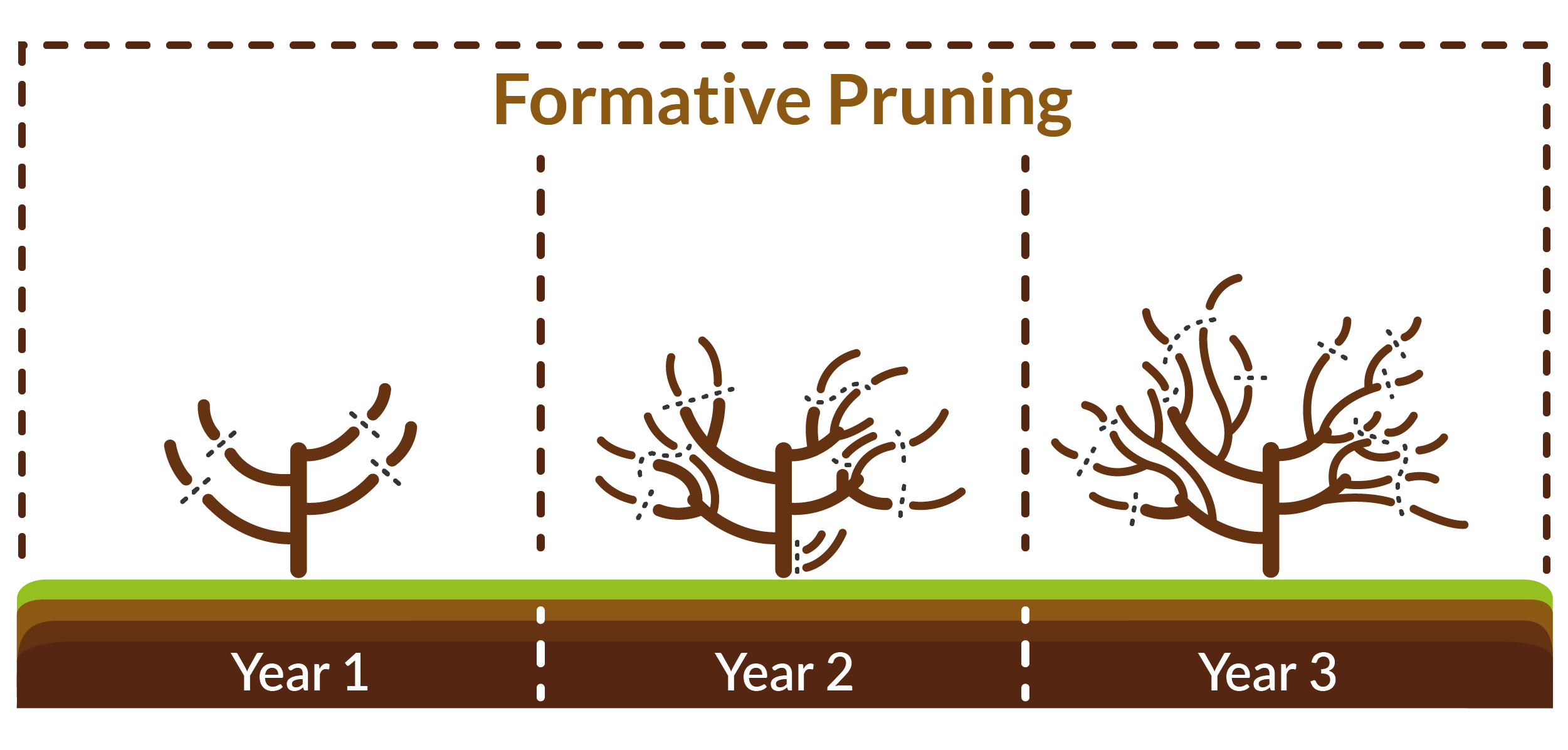 Pruning Currants, Gooseberries & Jostaberries Primrose Garden Club