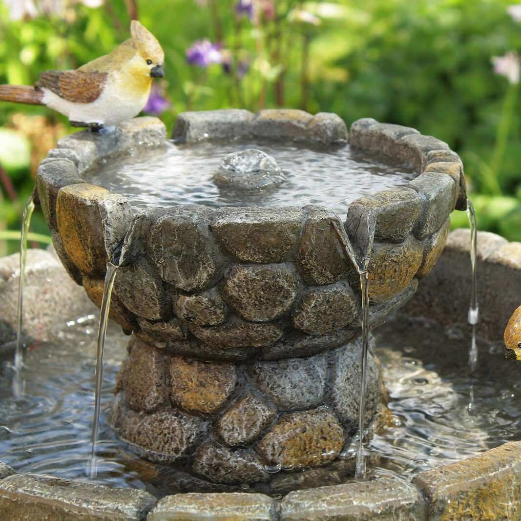 How to Stop Insects in Water Features Primrose Garden Club Expert
