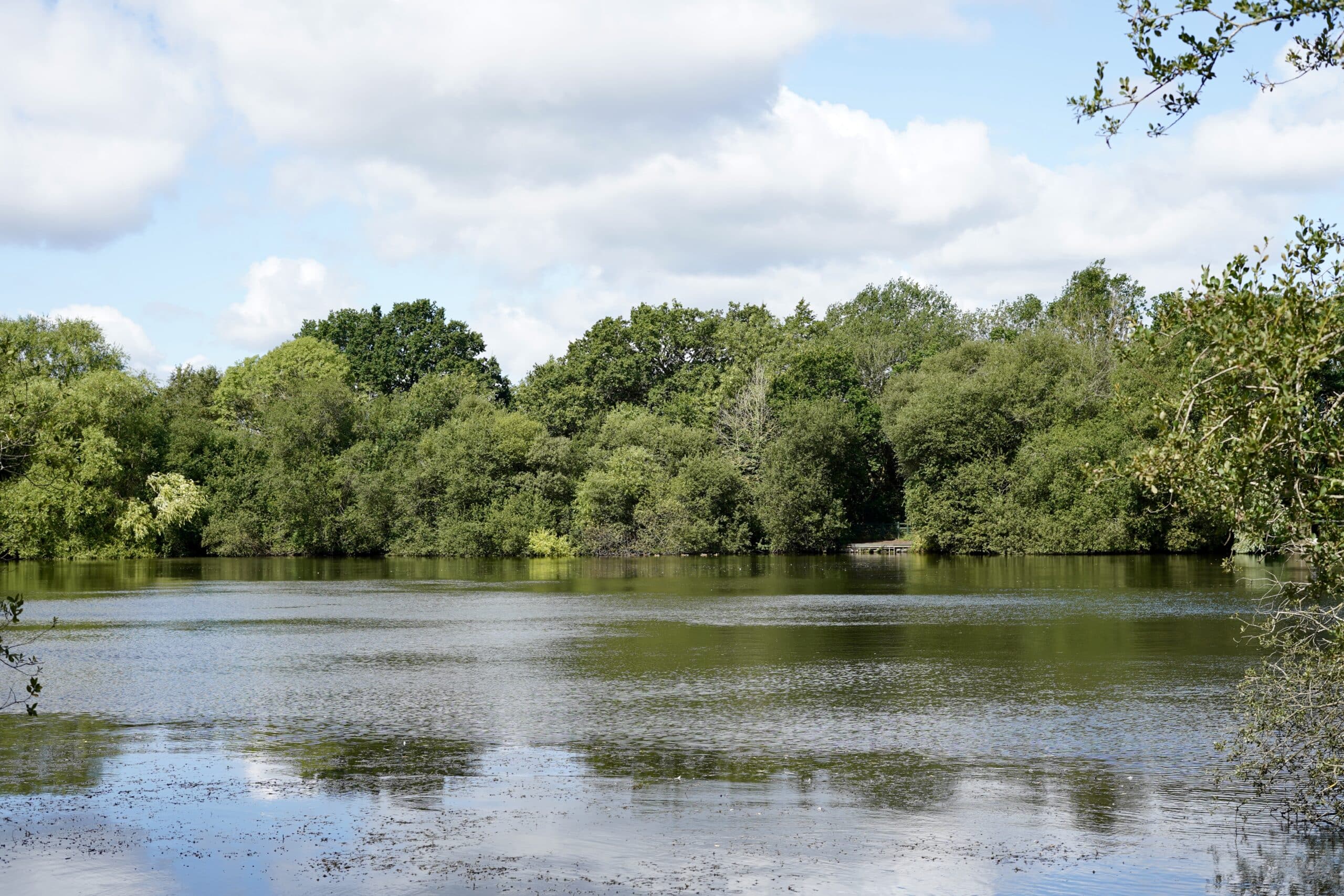 Sandhurst Estate Agents Seymours