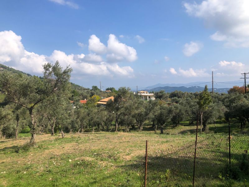 Beautiful Olive Grove for sale SKIATHOS PROPERTY