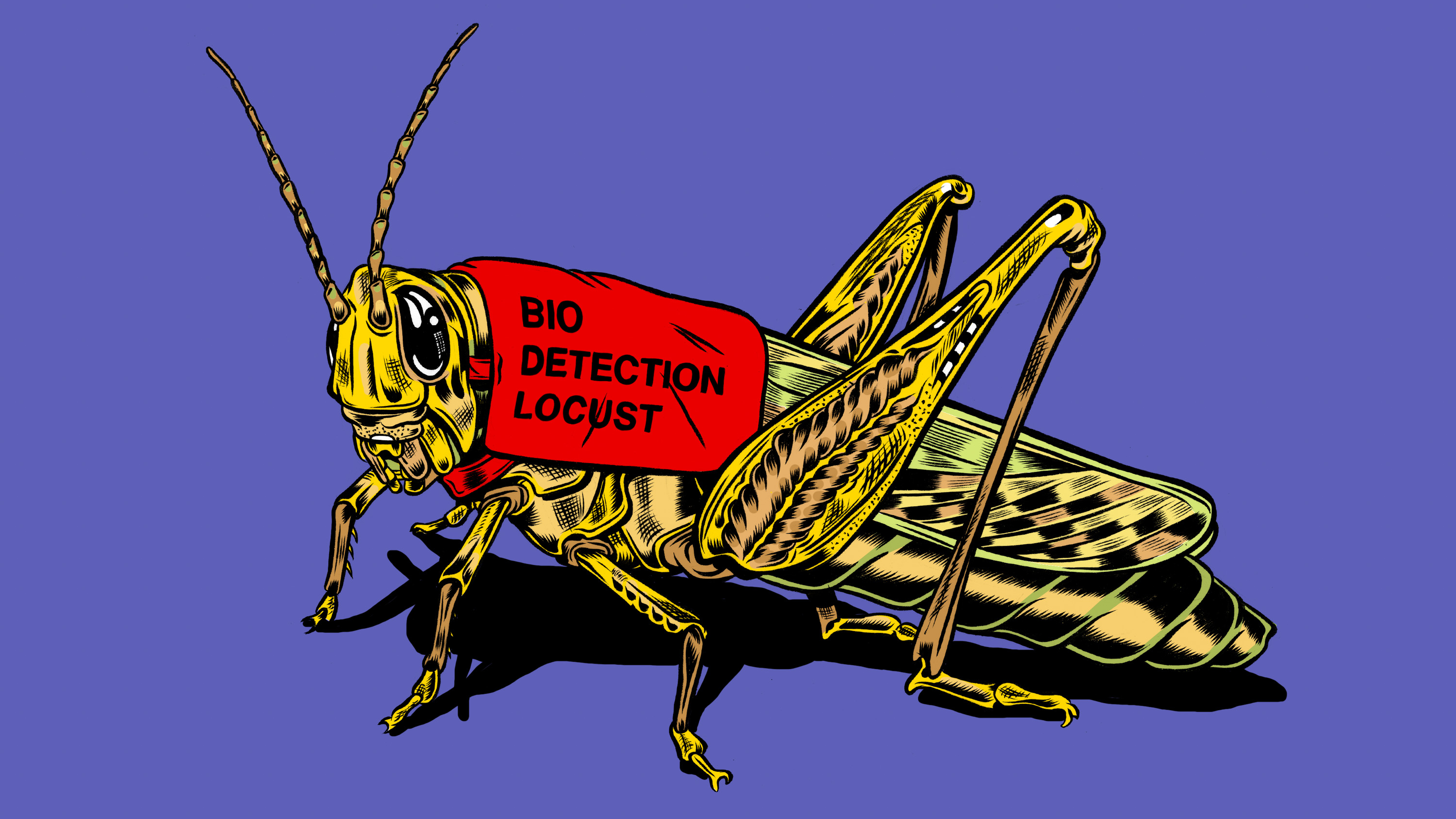 A locust’s brain has been hacked to sniff out human cancer MIT