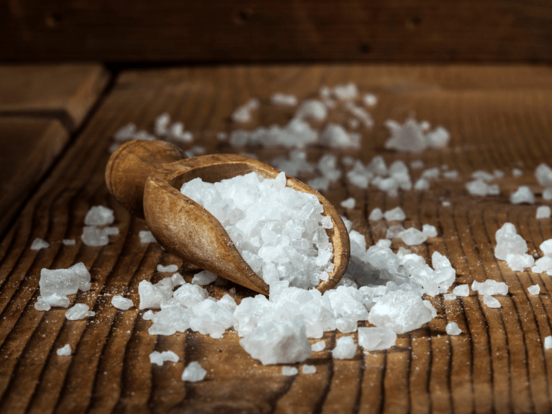 Can Cats Eat Salt? Waldo's Friends