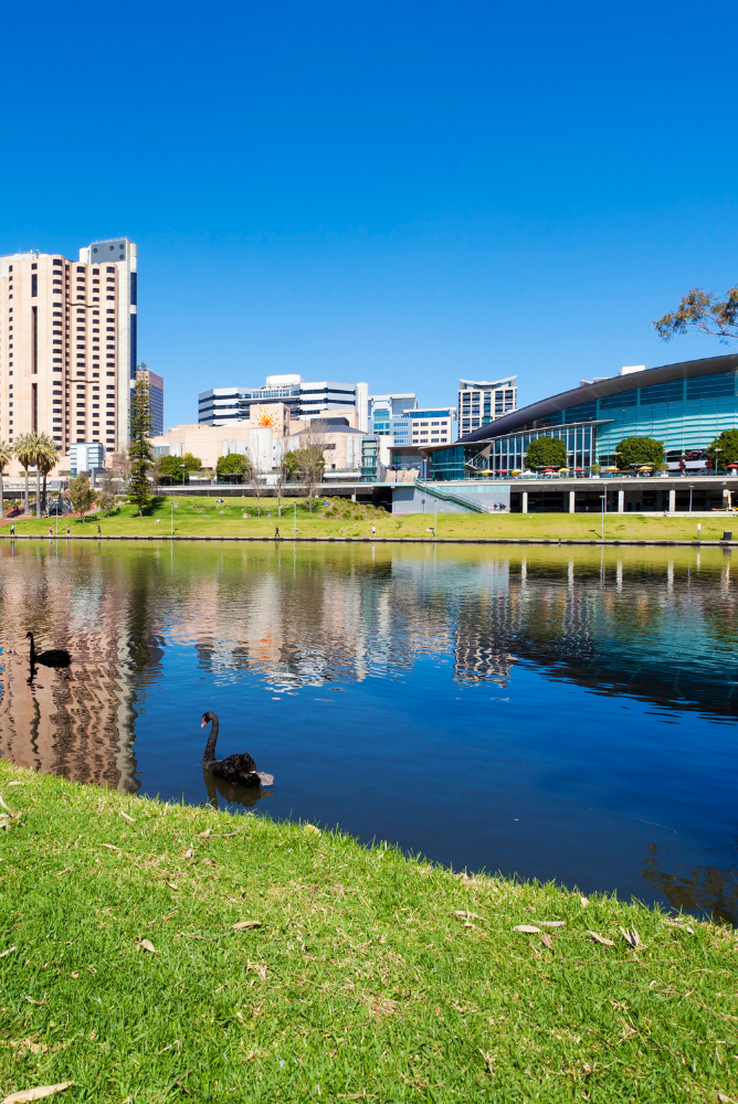 Find your local animal rescue shelter Waldo's Friends