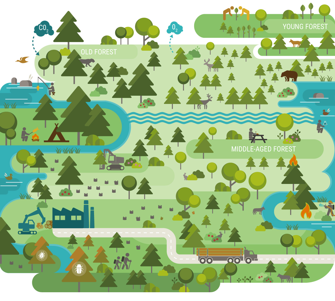 Activity 3 Forest Issues and Management (Interactive Map) Work Wild