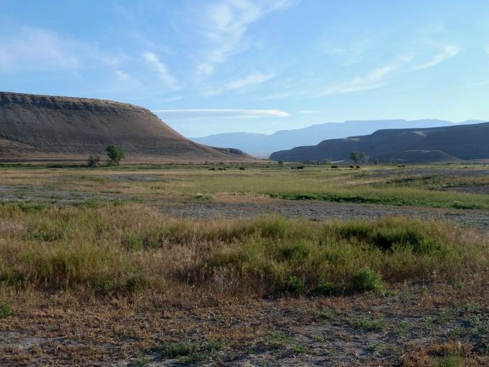 Wilford Brimley Selling Ranch, Eating His Oatmeal in Town Now