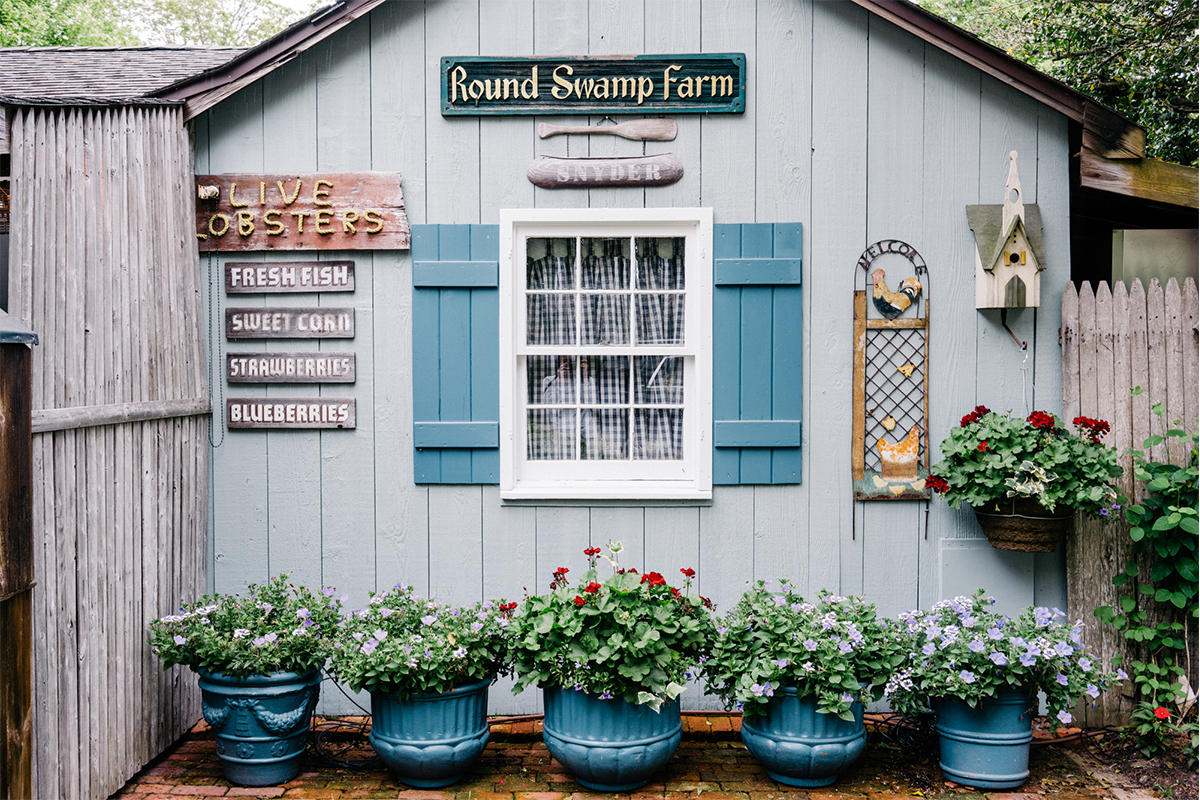 The Best Farm Stands in the Hamptons Out East