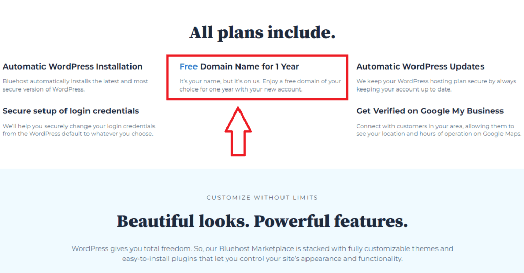 Bluehost Free Domain 2024 Claim Your Free Domain Now