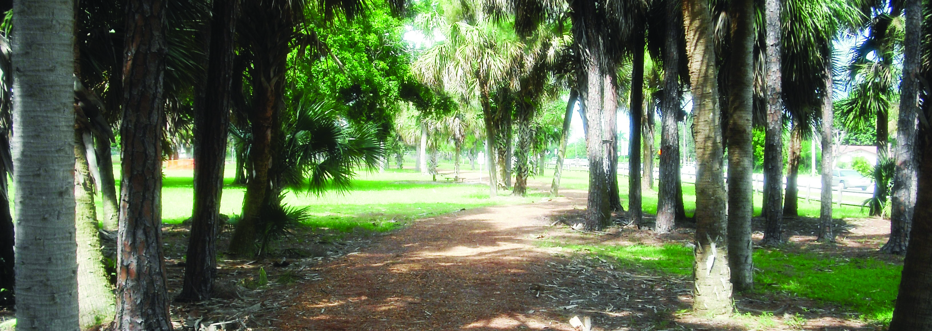 Haverhill Park 025 dup West Palm Beach Parks