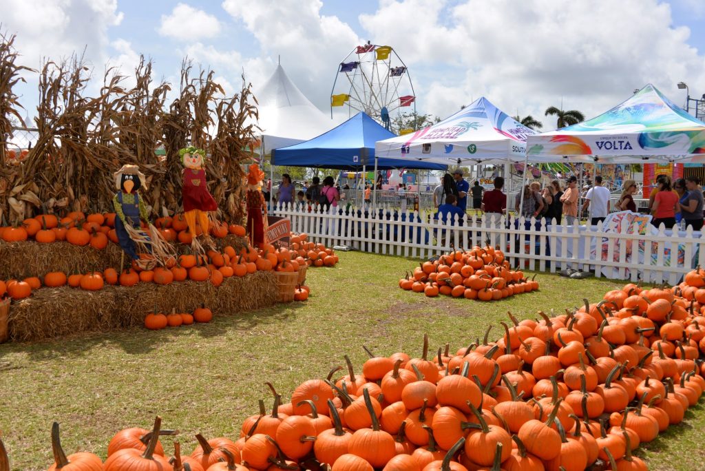 fall festivals near me 2026 Fall Festivals Pumpkin Patch PB County 2024 West Palm Beach Parks