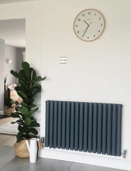75 Living Room Radiator Ideas
