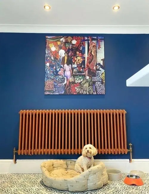 75 Living Room Radiator Ideas