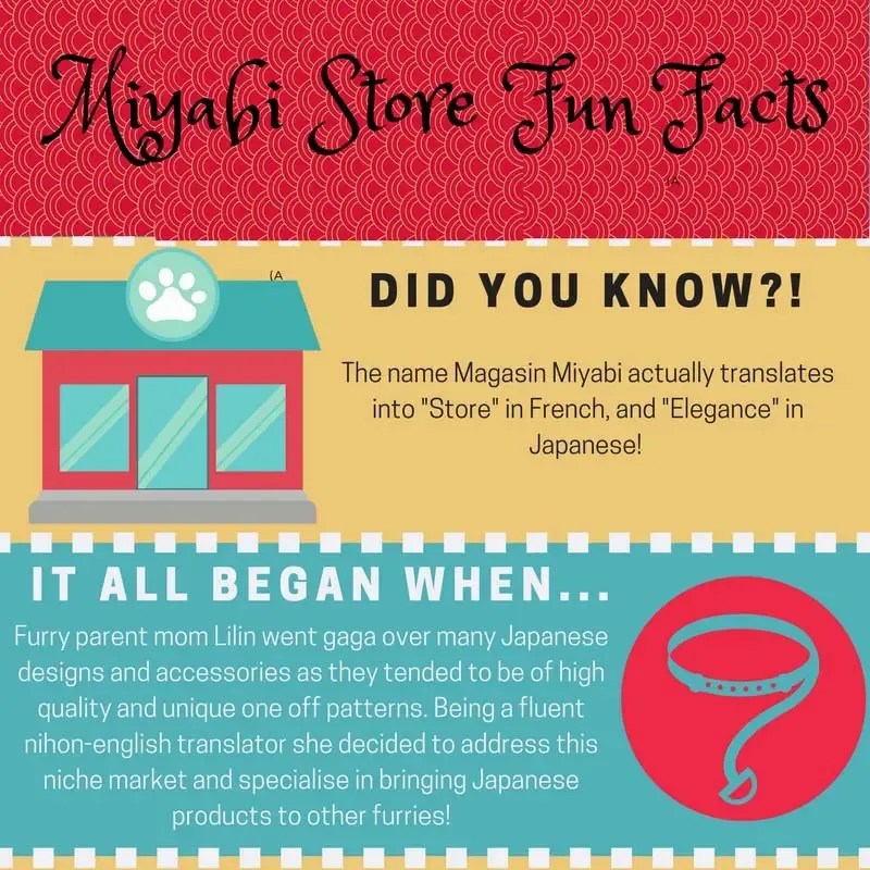 Miyabi Fun Facts Get To Know Us! Magasin Miyabi