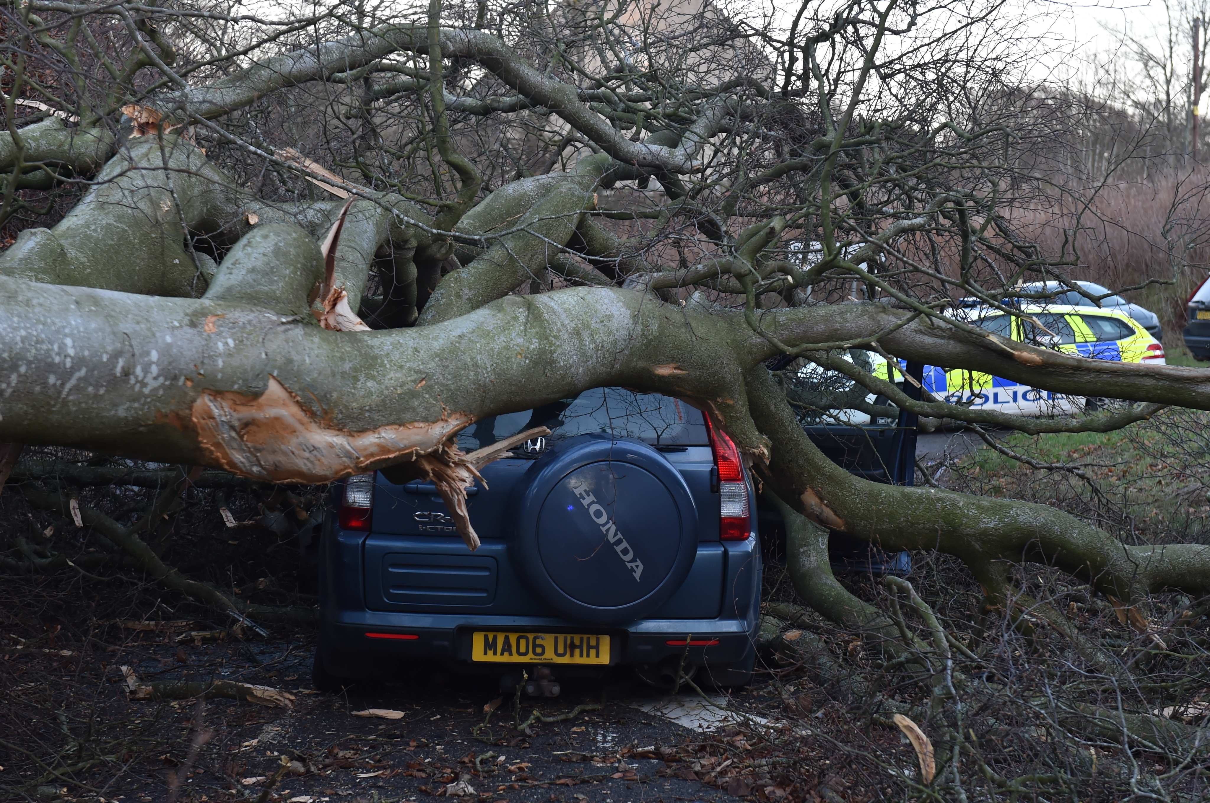 Chaos on roads as gale force winds hit north and northeast Scotland