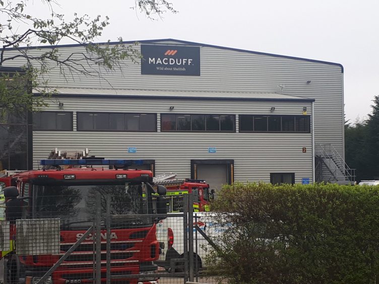 VIDEO Macduff Shellfish factory evacuated in suspected gas leak