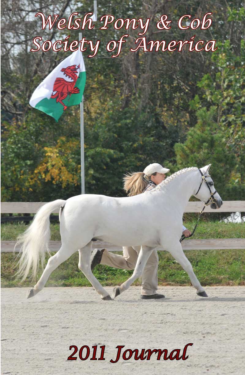 2011 Yearbook Welsh Pony & Cob Society of America