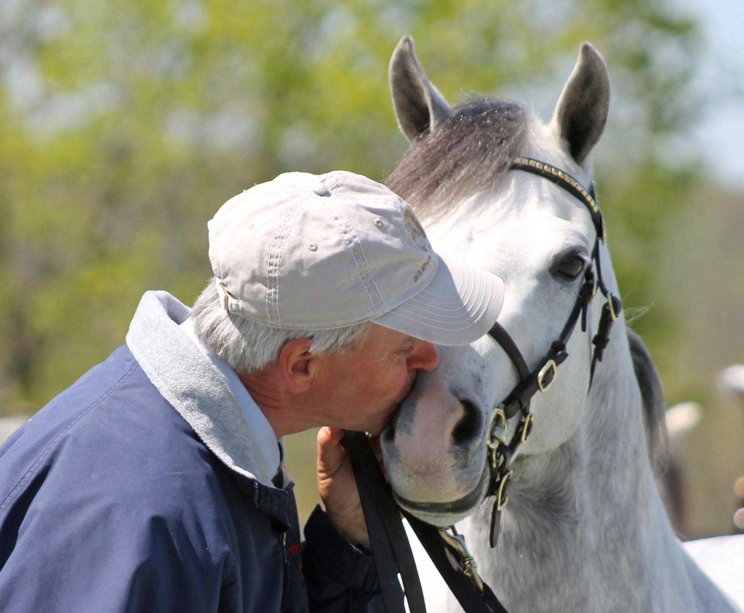 Homepage Business & Corporate Welsh Pony & Cob Society of America