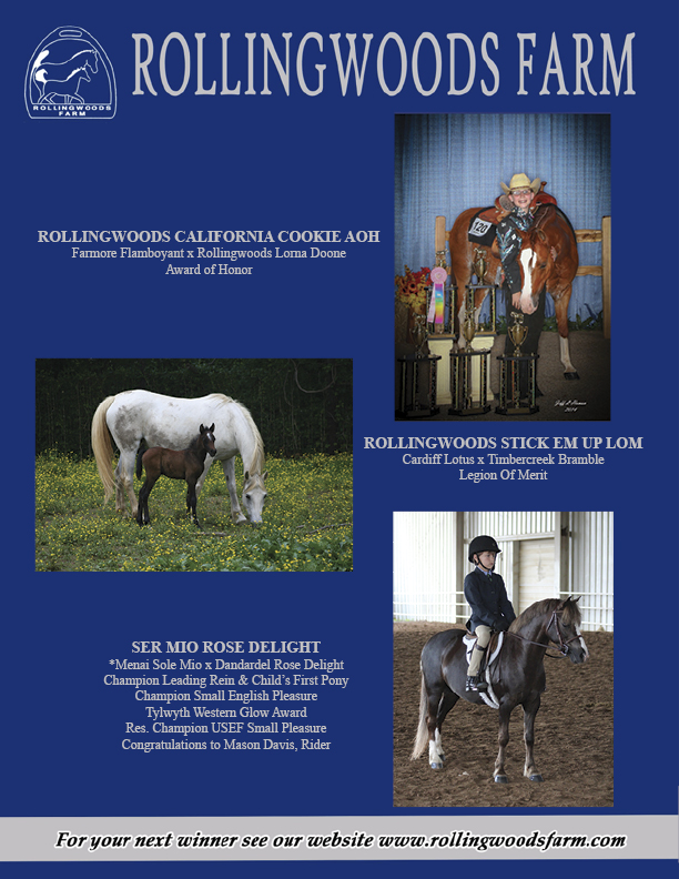 Welsh Pony & Cob Society of America You Never Outgrow A Welsh!