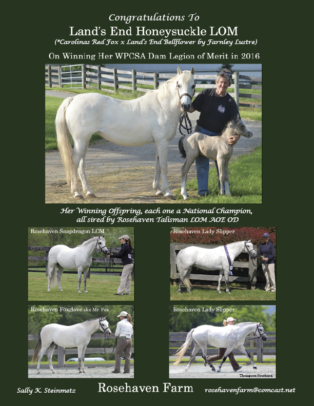 Welsh Pony & Cob Society of America You Never Outgrow A Welsh!