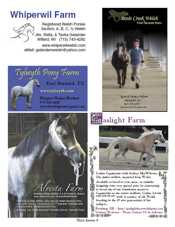 Welsh Pony & Cob Society of America You Never Outgrow A Welsh!