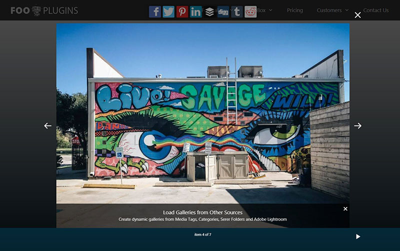 The best WordPress gallery lightbox plugins you can get