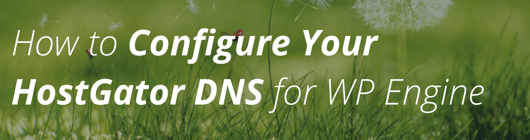 How to Configure Your HostGator DNS for WP Engine | WP Engine®