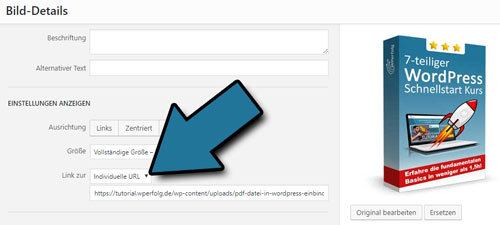 ᐅ WordPress PDF einbinden (2020) In 30 Sekunden + Tipps