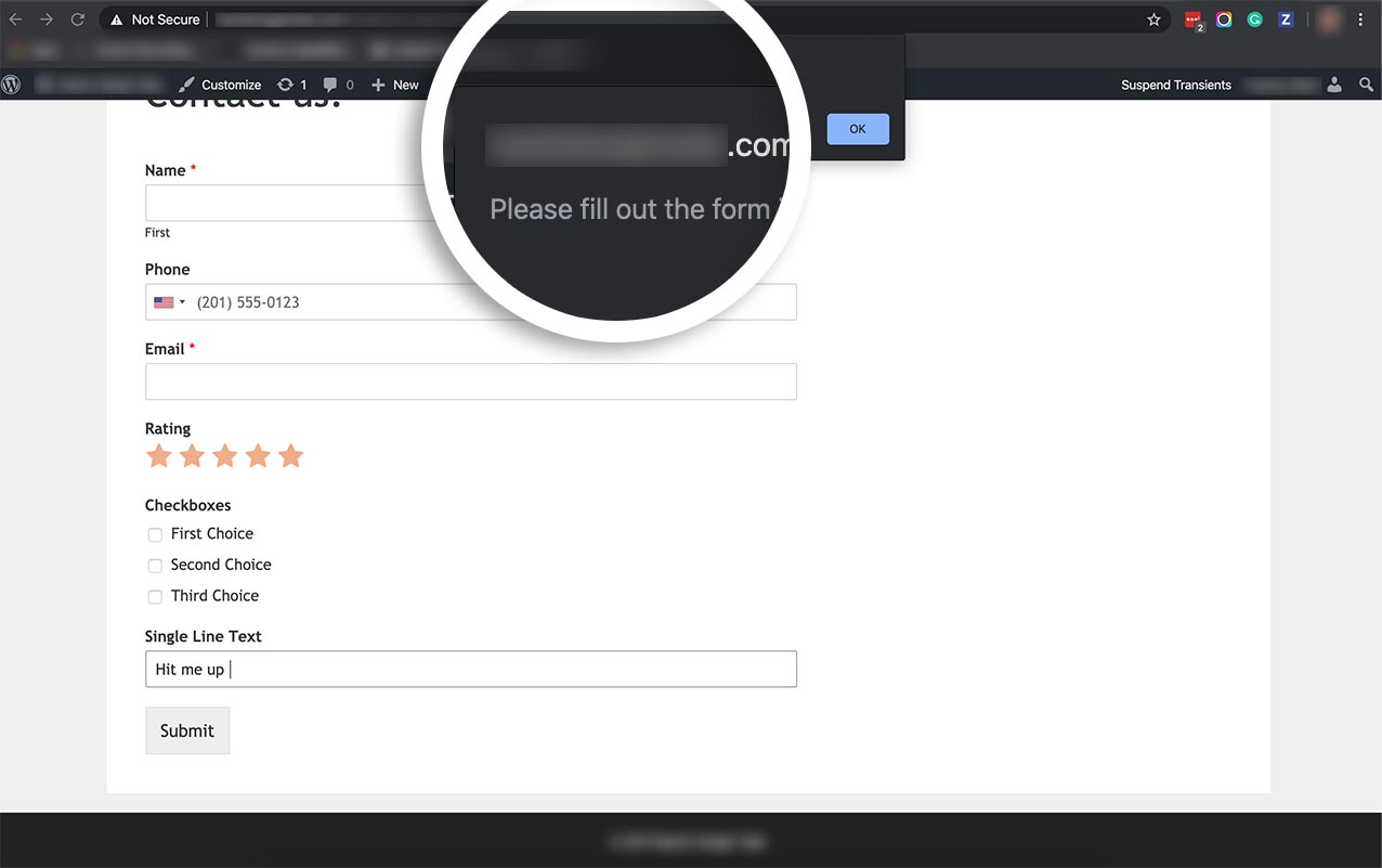 How to Restrict Special Characters From a Form Field