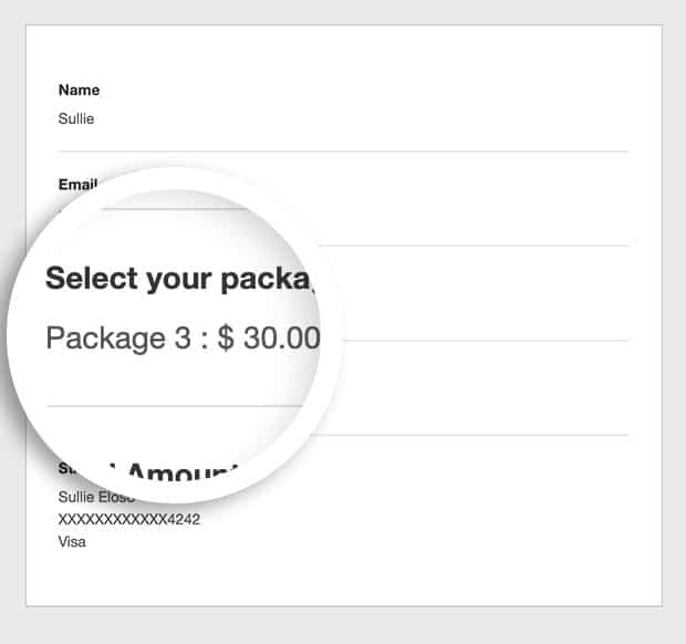 Changing the payment delimiter in email notifications?