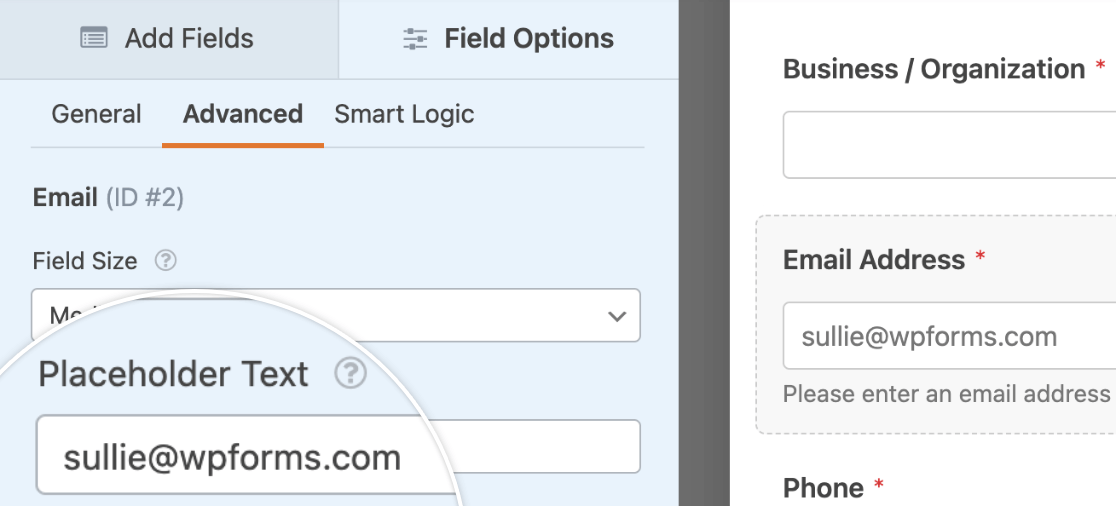 How to Add Extra Text and Descriptions to Forms