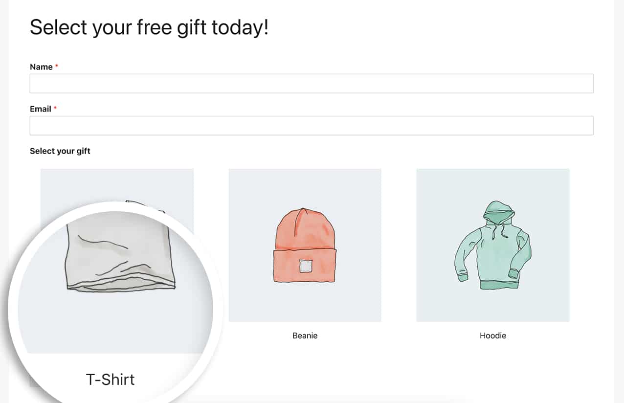 How to Hide Image Choice Labels with WPForms and CSS