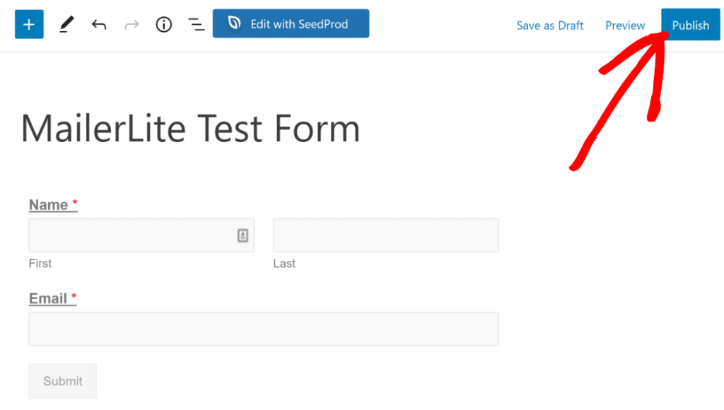 How to Create a MailerLite Contact Form in WordPress [5 Steps]