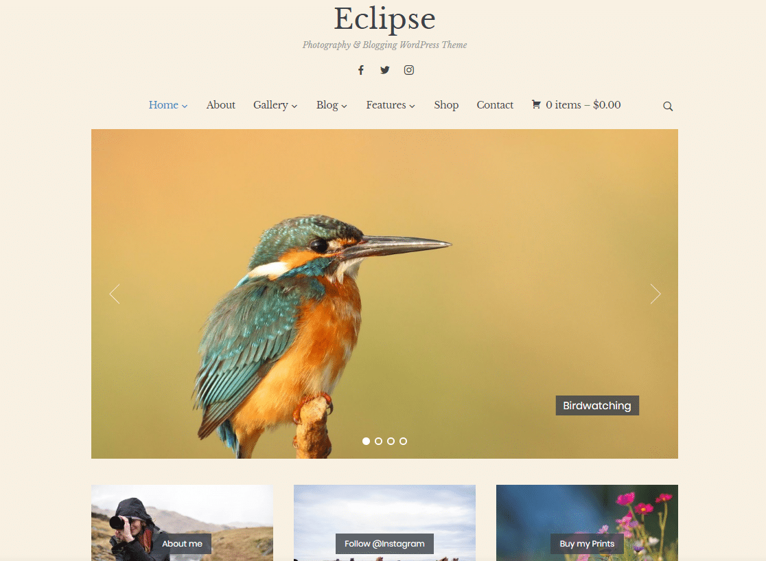 The 17 Best Minimalist WordPress Themes for 2024