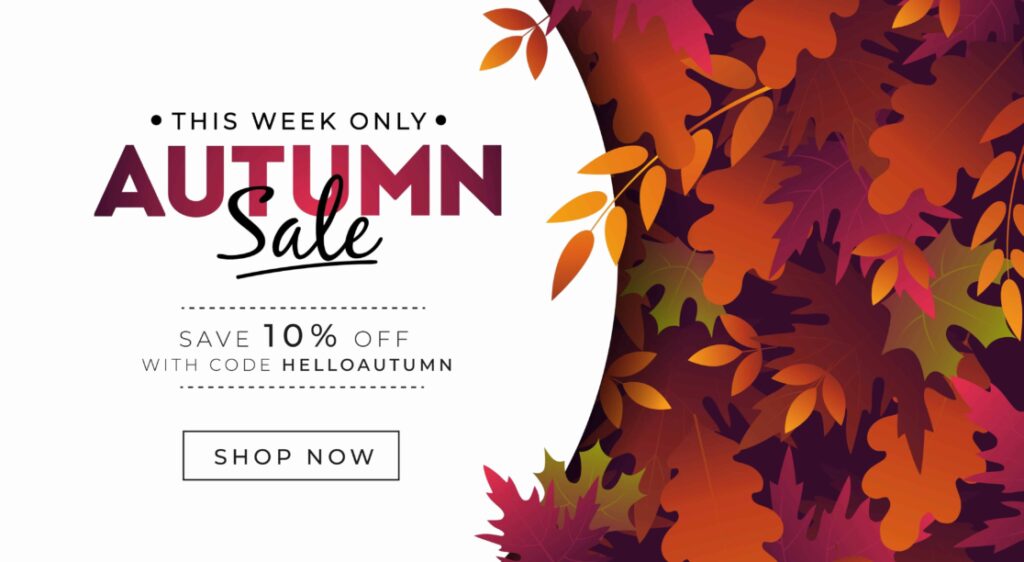 50+ Holiday Promo Code Ideas for 2024