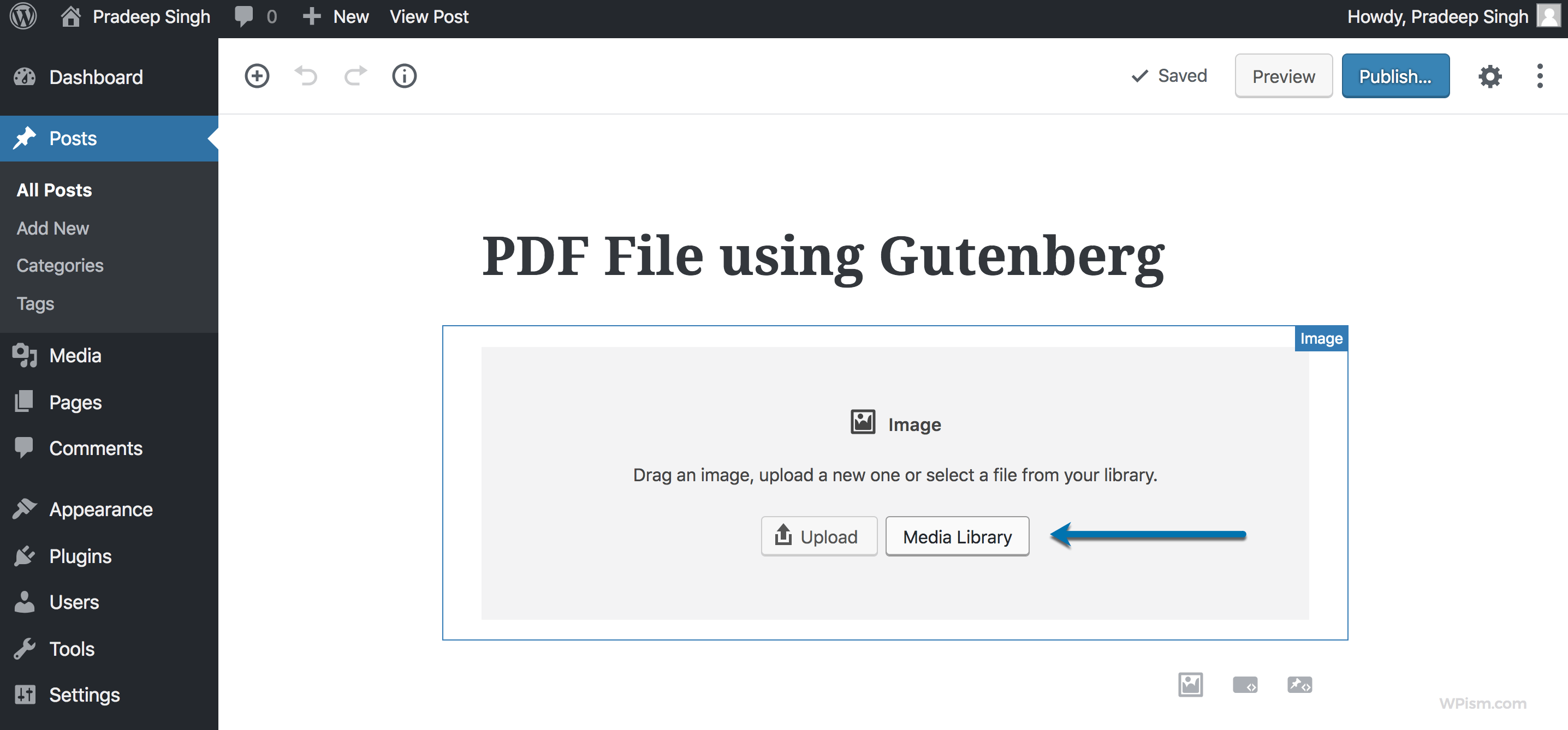 How to Upload and Embed PDF files in WordPress 2024 Guide