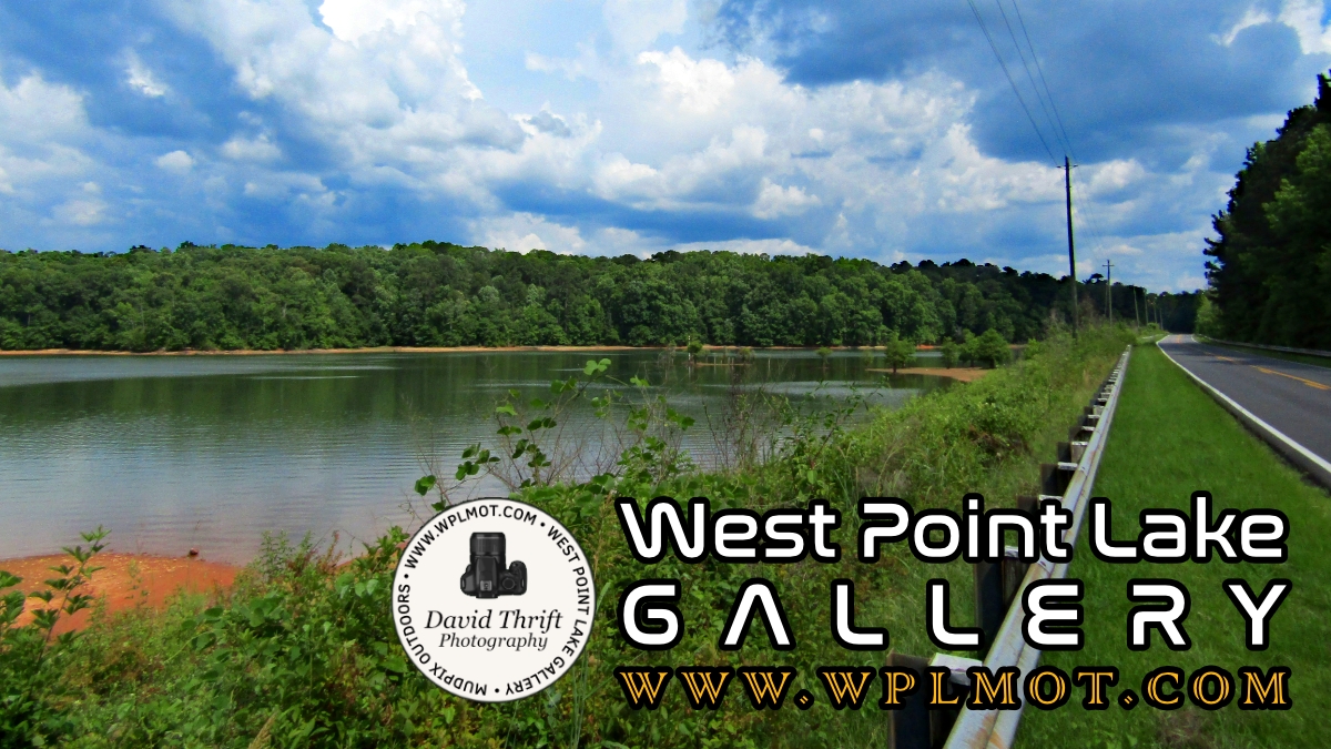 West Point Lake Gallery 006 West Point Lake