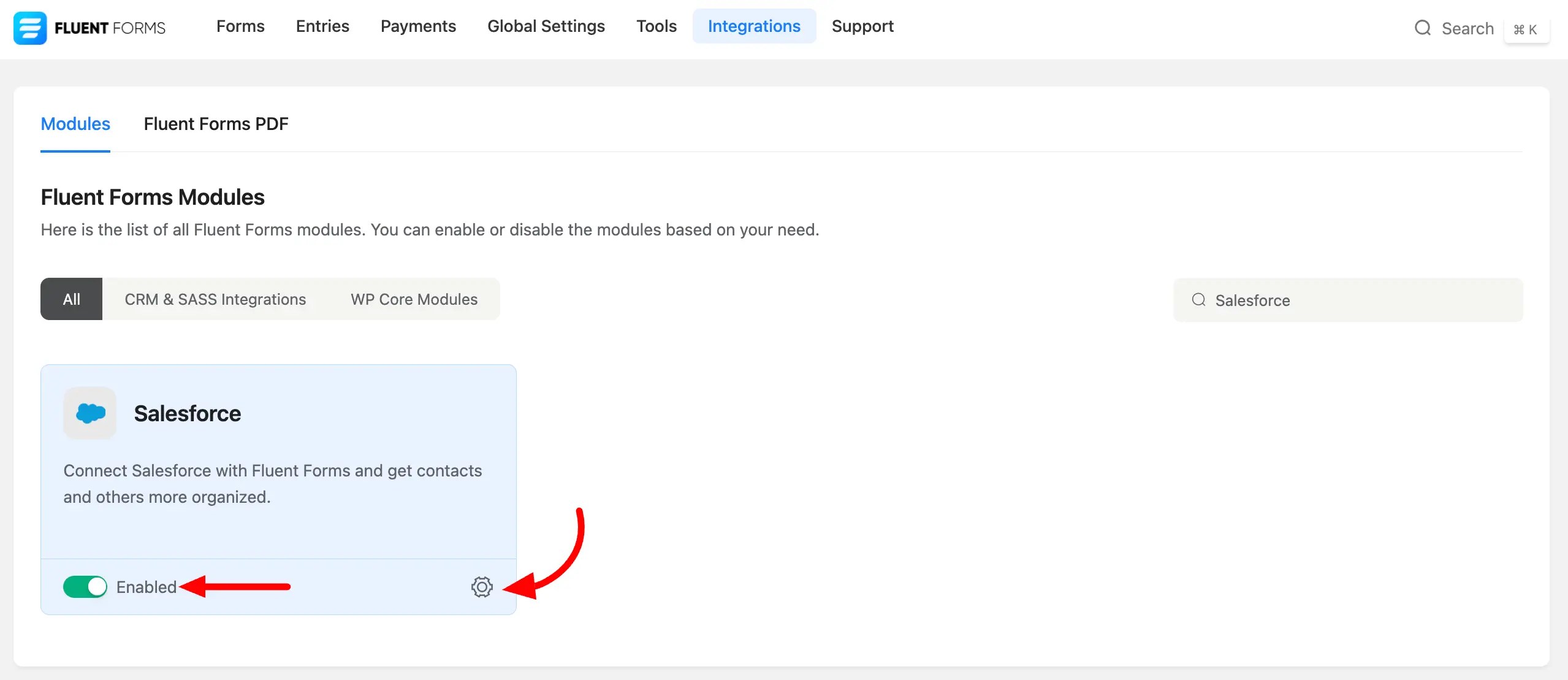 Salesforce Integration with Fluent Forms WP Manage Ninja