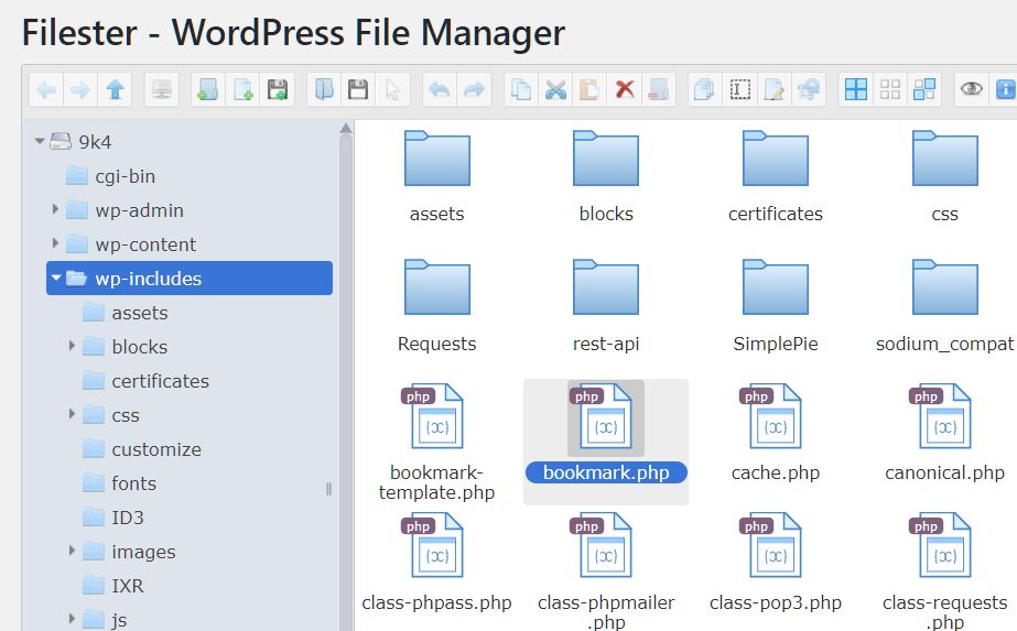 Advanced File Manager For Wordpress Filester WP Missing