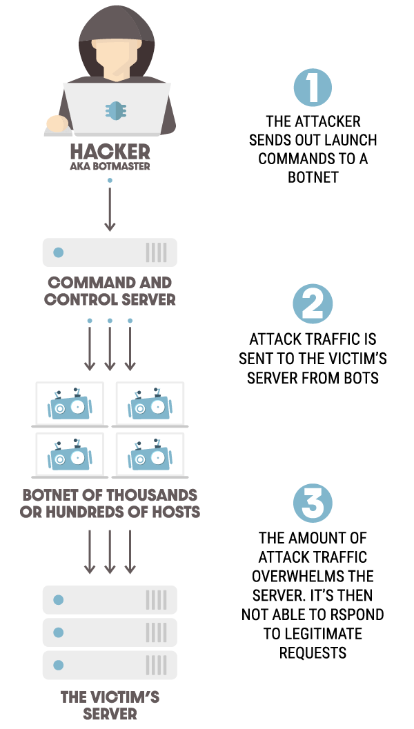 How to Protect Your WordPress Site From DDoS Attacks WPMU DEV