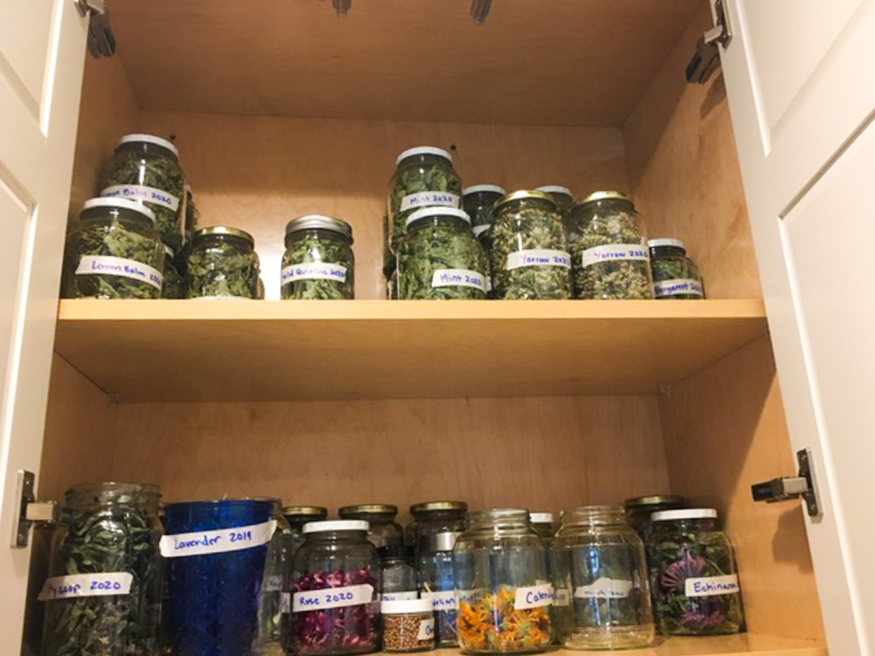 The Botanical Medicine To The Best Of Our Knowledge