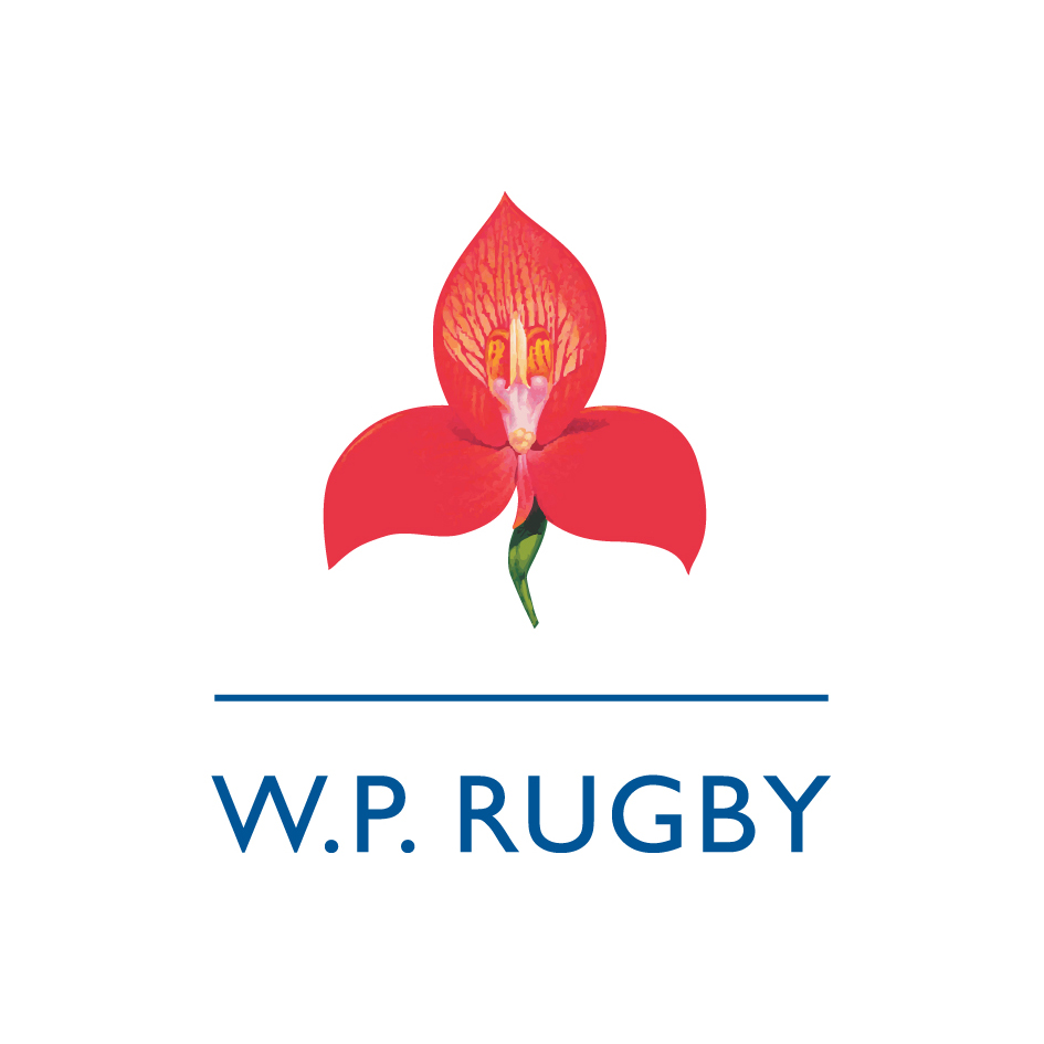 WP Rugby news
