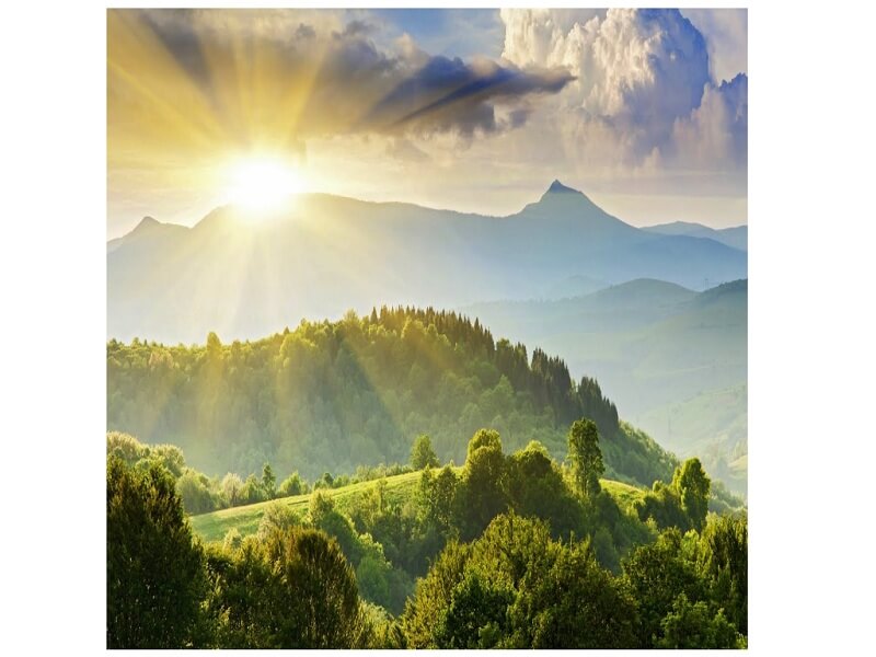 Top 10 CSS Image Hover Animation Effects 2020