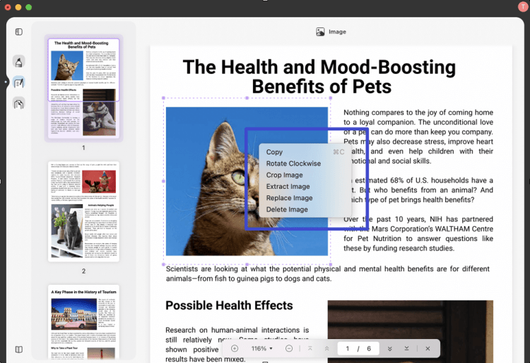 How to Mirror Image in PDF WPS PDF Blog