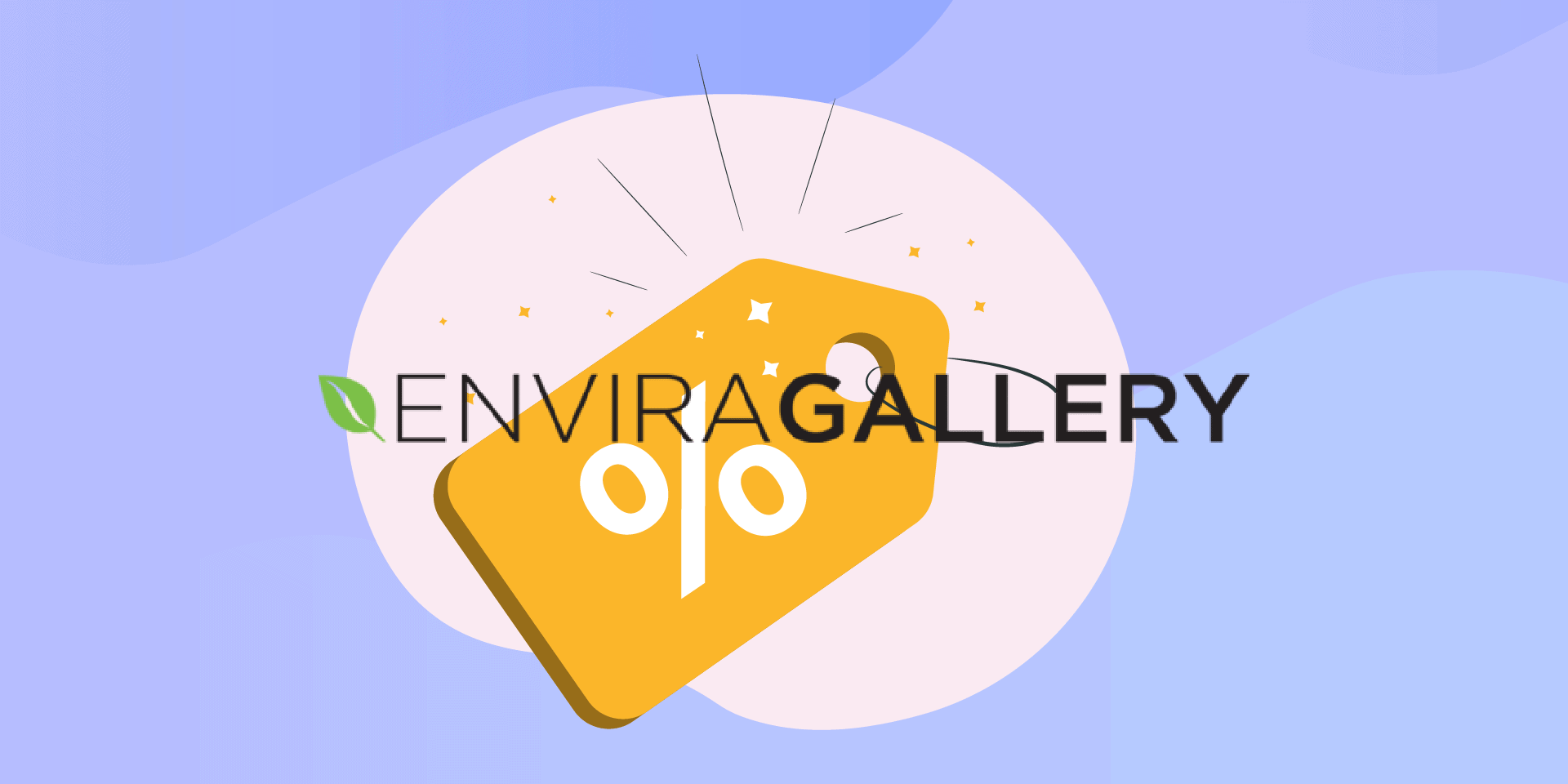 Envira Gallery Coupon Code Up To 30 OFF!