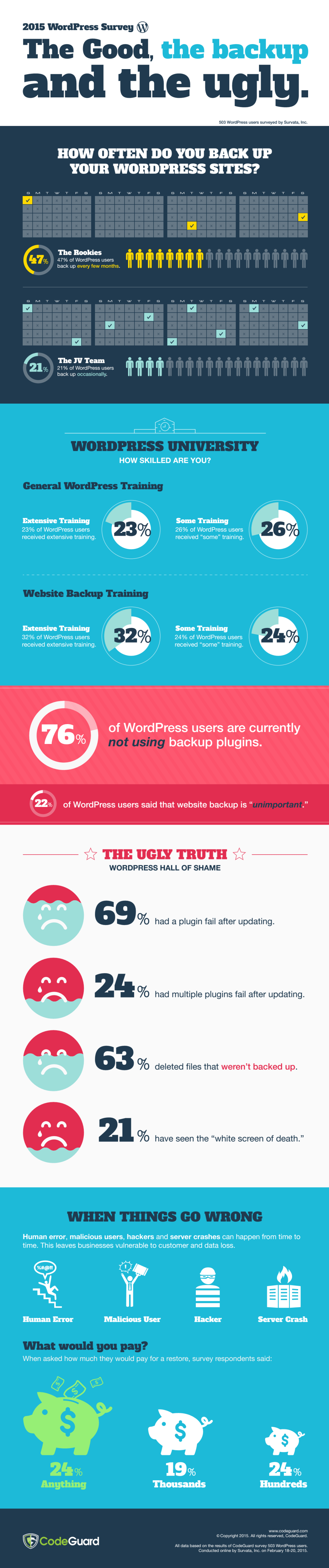 CodeGuard Infographic Showing Survey Results