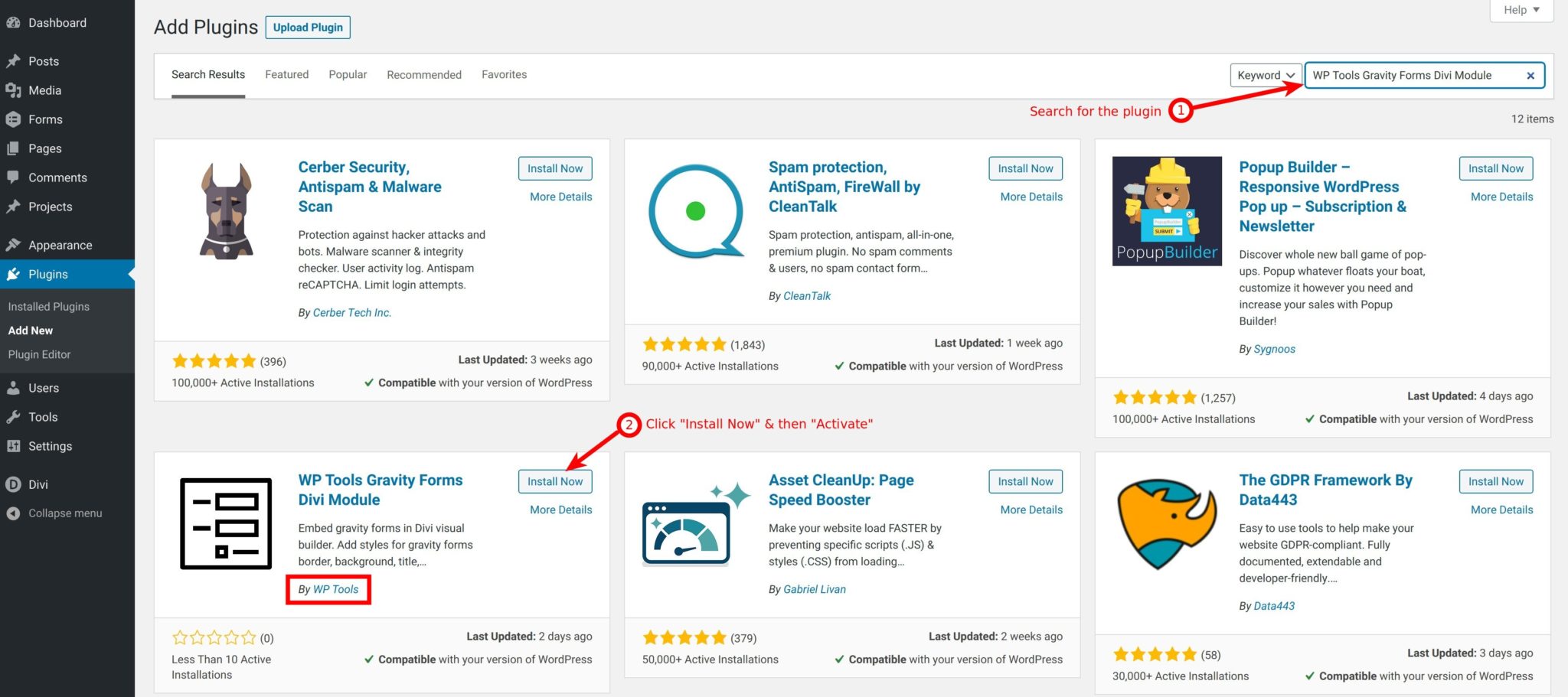 Embed Gravity Form In Divi Theme WP Tools
