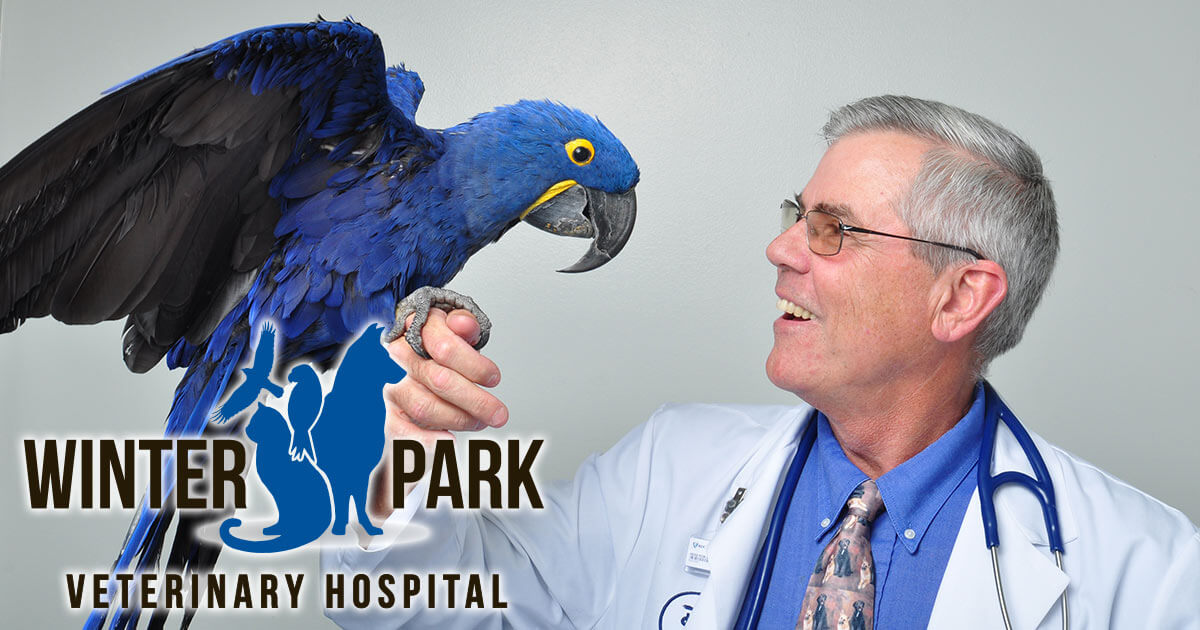 Winter Park Veterinary Hospital