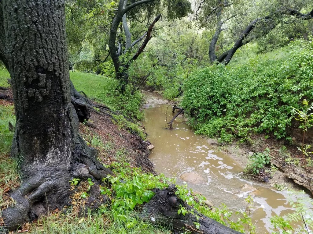 Conservation Entitlements Archives WRA Environmental Consultants