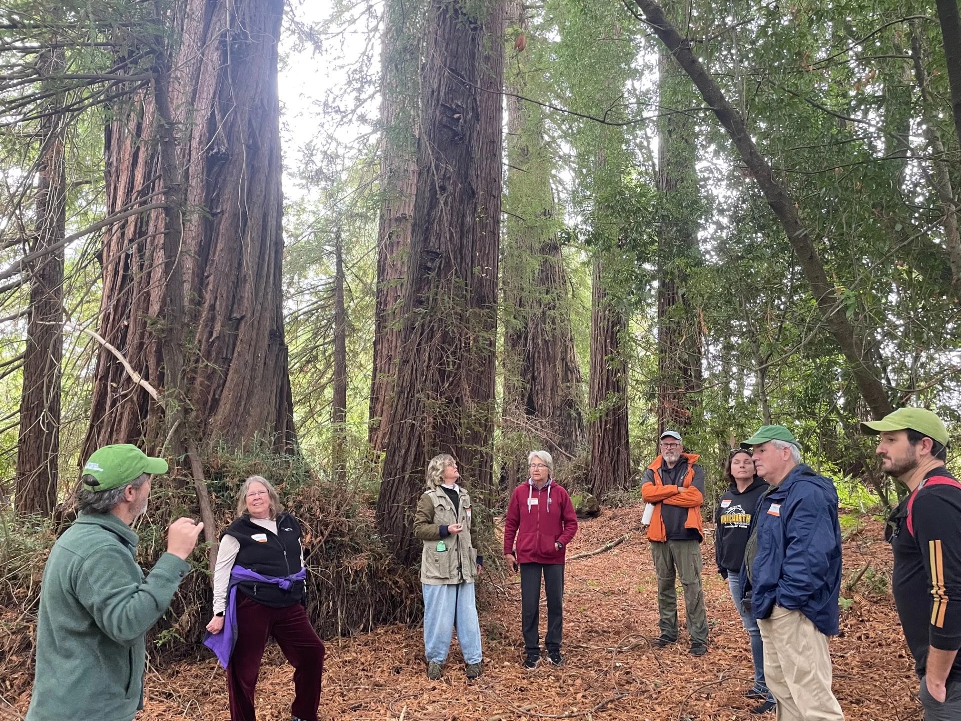 Nature Walk at Sonoma County's Azalea Farm WRA Environmental Consultants