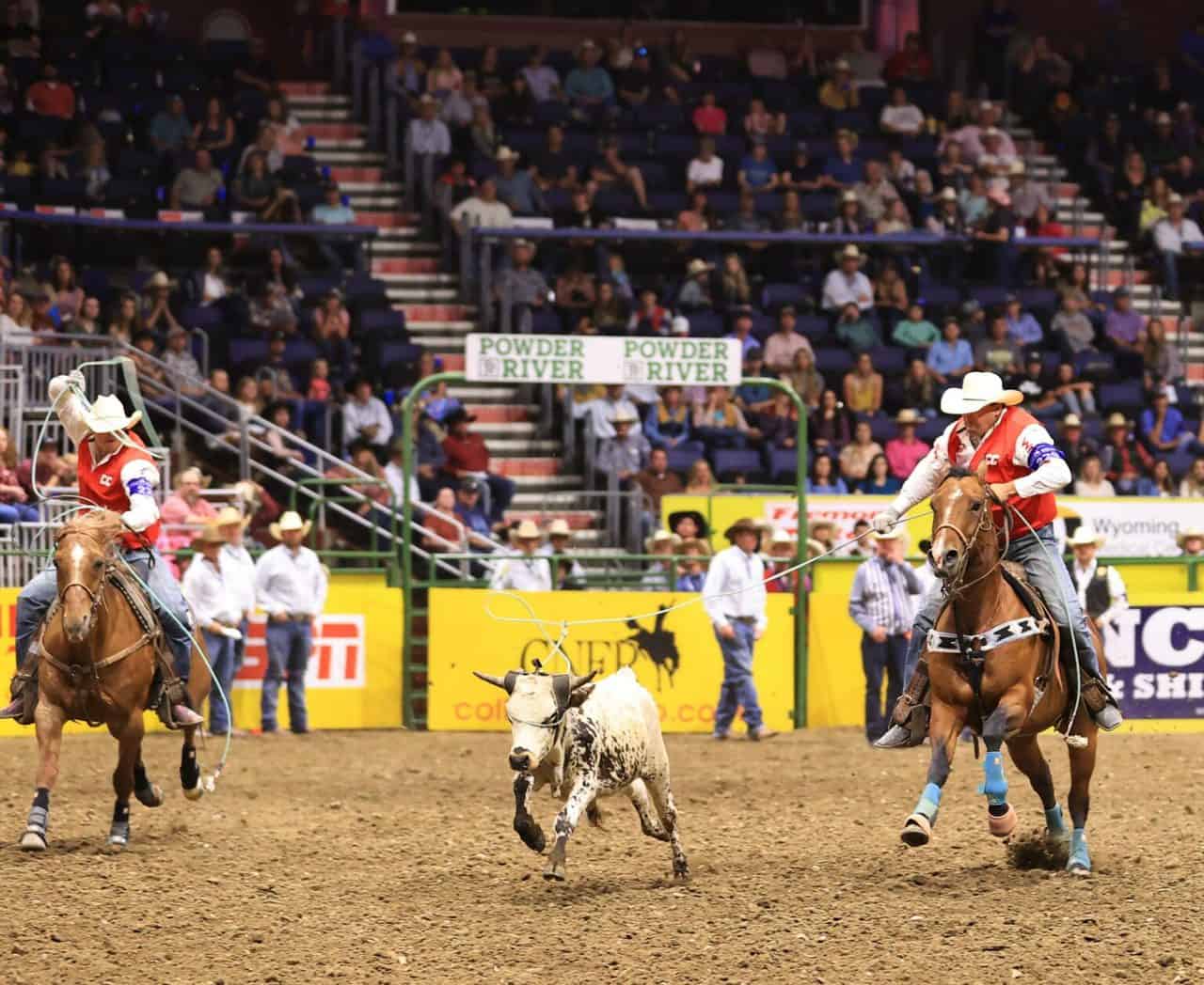 Johnson Brothers Rope Lead at College National Finals Rodeo