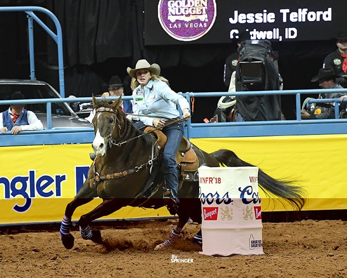 Jessie Telford Loses her Homegrown Horse Famous Cool Whip Newsarc